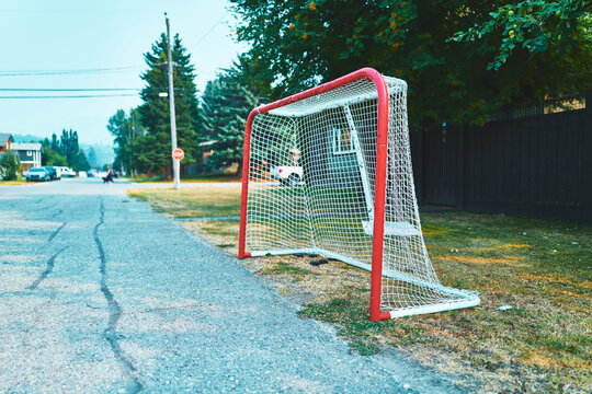 Hockey net on the roadside with a residential street receding behind
