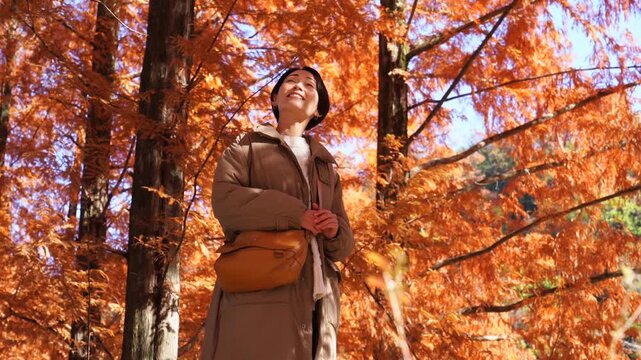 秋の紅葉を楽しむ女性　ミドルエイジ