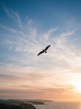 bird flying high