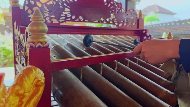 Musician Playing Rindik Traditional Balinese Bamboo Xylophone Musical Instrument