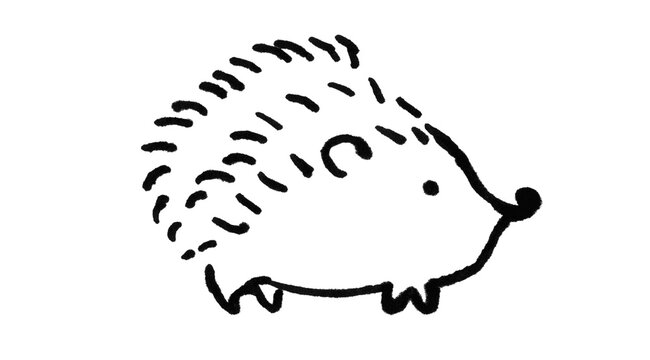 Cute hand drawn hedgehog doodle with quills, line art animal vector illustration
