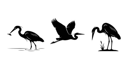 Obraz premium Set of Three Heron Bird Silhouettes in Various Poses Including Flying Fishing and Standing in Reeds