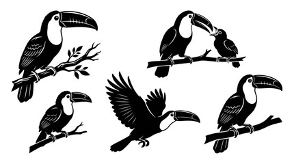 Obraz premium Set of Five Toucan Bird Silhouettes Illustration Collection in Various Poses and Flight