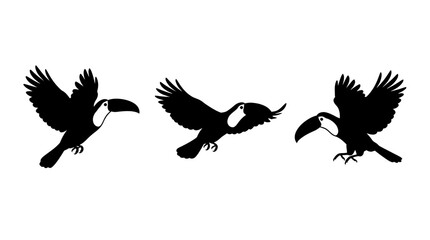 Obraz premium Black Silhouettes of Three Tropical Toucan Birds Flying Isolated on a Pure White Background Vector