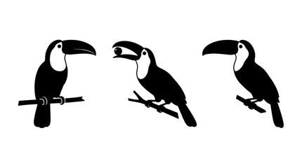 Obraz premium Collection of Three Toucan Bird Silhouettes Perched on Tree Branches Vector Icons on White Background