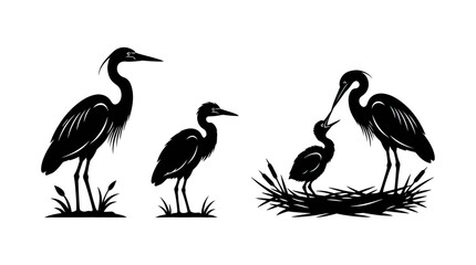 Obraz premium Silhouette of Heron Family Including Adults and Parent Bird Feeding Chick in Nest on White Background