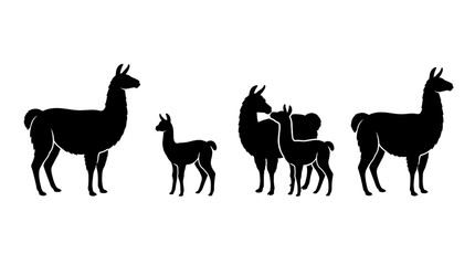 Obraz premium Set of Black Llama and Alpaca Silhouettes, South American Animal Family Isolated on White Background