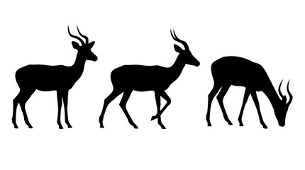 Fototapeta premium Collection of three impala antelope silhouettes in standing, walking and grazing poses isolated on white