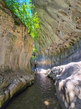 Walking through the river between tall water-sculpted rock walls on a bright beautiful summer day with a clear blue sky and green trees hanging over the top. Cheile Banitei, Hunedoara, Romania