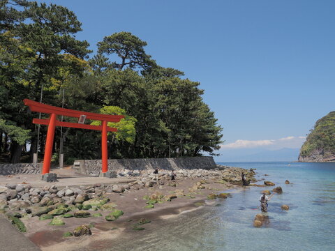 鳥居と海