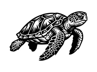 Obraz premium Intricate Black and White Line Art Sea Turtle Illustration for Marine Life and Ocean Wildlife Graphics