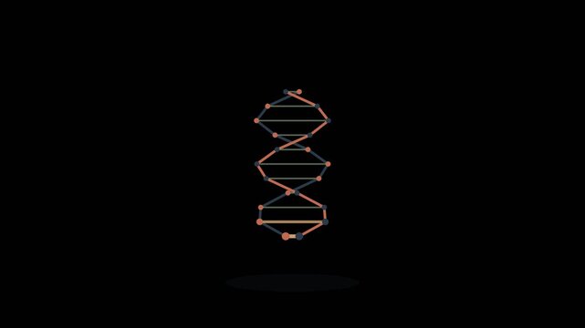 DNA double helix rotation animation with scanning highlight, transparent background genetics and biotechnology motion graphics overlay, seamless loop medical science element with alpha channel