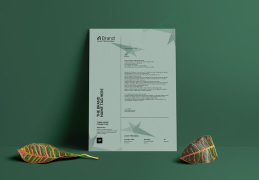 Letterhead Newslatter Template Layout