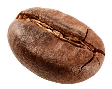 Coffee Bean isolated, full depth of field