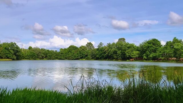 Peaceful Park Pond with Lush Trees and Cloudy Blue Sky