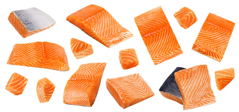 raw salmon, fish isolated, full depth of field
