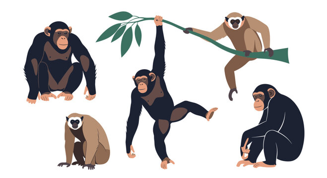 Collection of various primates including chimpanzees and gibbons in natural poses like climbing, sitting, and swinging on a branch trees.
