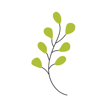 Green leaf branch with simple leaves on a curved stem vector illustration
