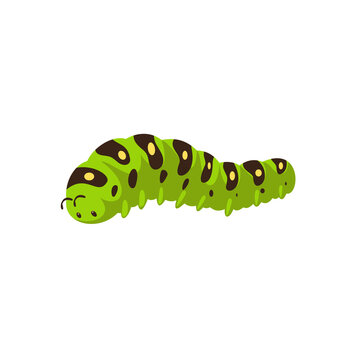 Green caterpillar with black spots on a white surface