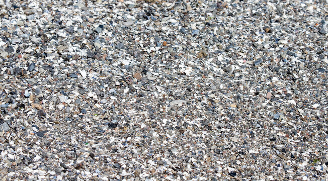Crushed seashells and fine gravel ground texture background on coastal beach surface