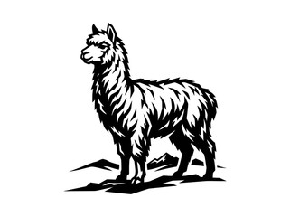 Naklejka premium Black and White Vector Art of an Alpaca Standing on Rocks