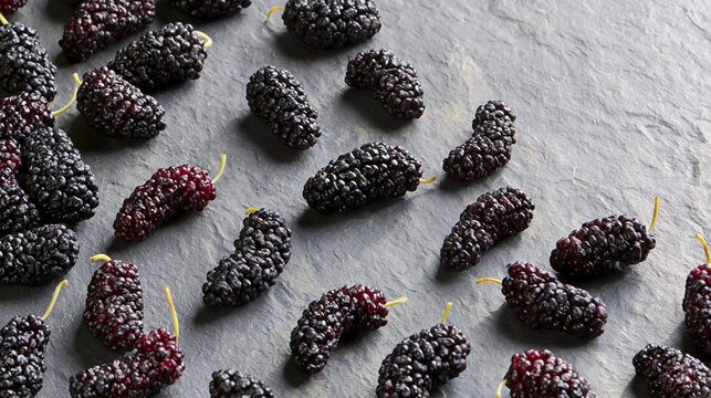 Fresh ripe mulberry berries on a grey stone background. Isolated on transparent background, this studio shot highlights natural texture and delicious ripe mulberries for food photography.