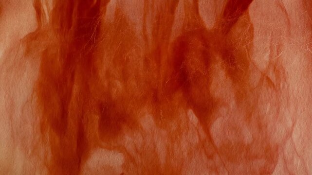 Deep crimson and rust pigment slowly bleeds through wet paper fibers, forming organic feathered tendrils across textured paper under soft overhead lighting in cinematic macro motion.