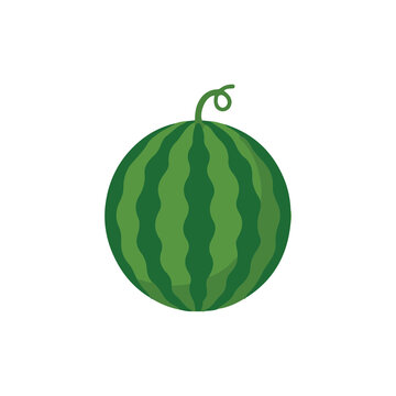 Whole Watermelon Flat Vector Illustration