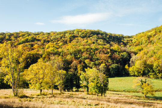 Paysage de pr&eacute;s et de for&ecirc;t en automne en Bourgogne. Paysage automnale de campagne. Le monde rural.