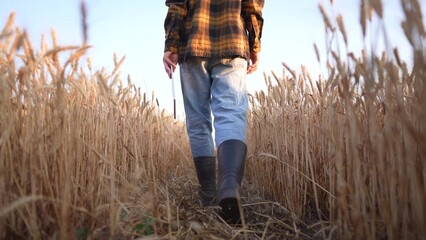 A man walks through a field of wheat, surrounded by tall stalks of wheat. The golden hue of the wheat contrasts with the clear blue sky above. © yudkowsky
