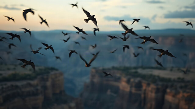 A flock of swifts soaring and diving in fluid arcs over a canyon at dusk.