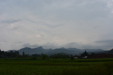 Green rice fields stretch beneath misty, distant mountains. Clouds drift low over the tranquil rural landscape. Lone house sits quietly among the trees. Nature's calm presence soothes the soul © Fajar