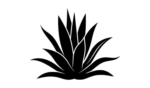 Stylized black agave leaf silhouette vector in asymmetric side view botanical design