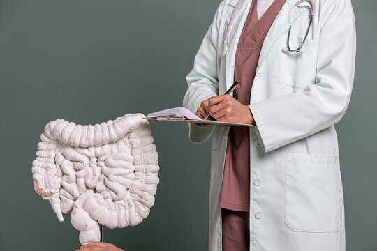 Anatomical colon and appendix model beside a healthcare worker writing on a clipboard for gastroenterology and digestive health education