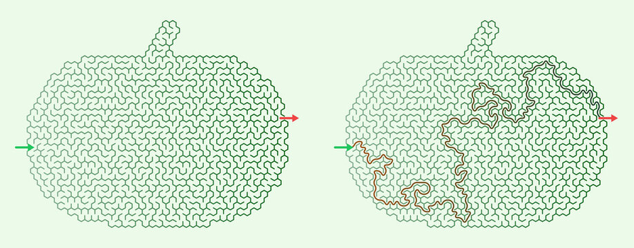 Puzzle maze design in the shape of a pumpkin with contrasting paths