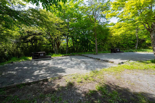 番号の付いた炉が設置された整備されたキャンプサイト、爽やかな初夏の自然環境をとらえた写真