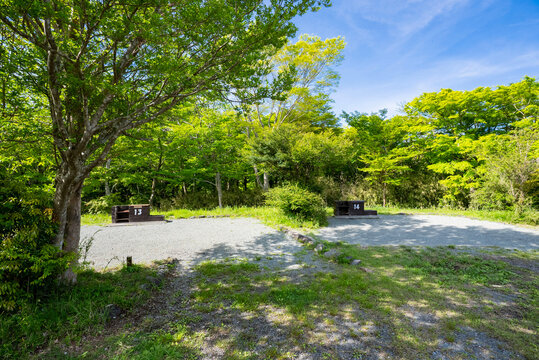 番号の付いた炉が設置された整備されたキャンプサイト、爽やかな初夏の自然環境をとらえた写真