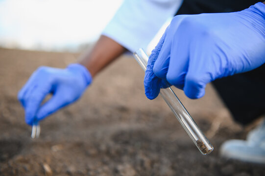 Agronomist analyzing soil sample in agricultural field