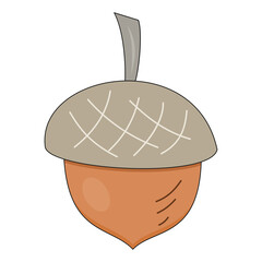 Flat style sticker illustration of a oak acorn nut isolated on transparent background. Autumn oak tree seed botanical clip art graphic icon design element for fall nature project asset. © Ageng Arifian