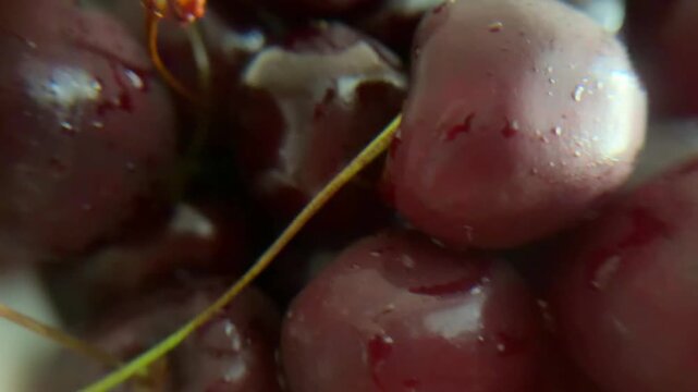 Close up of fresh juicy wet red cherries rotating, revealing their ripe texture, water droplets, and vibrant color, showcasing natural summer berry harvest and healthy eating concepts