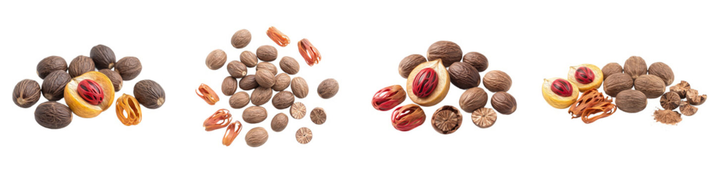 set of the nutmeg and mace isolated on withe background PNG photo stock''