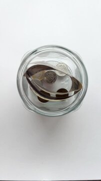 Hand dropping american dollar bills and coins into a glass jar for savings, investment, and financial planning, representing a simple and effective budget management strategy