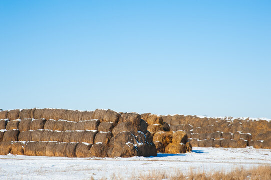 Storage with piles of stacks of hay