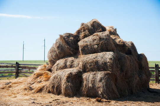 Storage with piles of stacks of hay