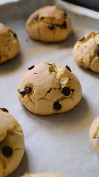 Fresh Baked Golden Chocolate Chip Cookies On Parchment Paper In A Kitchen Tray