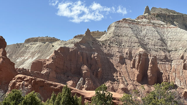 a mountain with trees and rocks in the fore