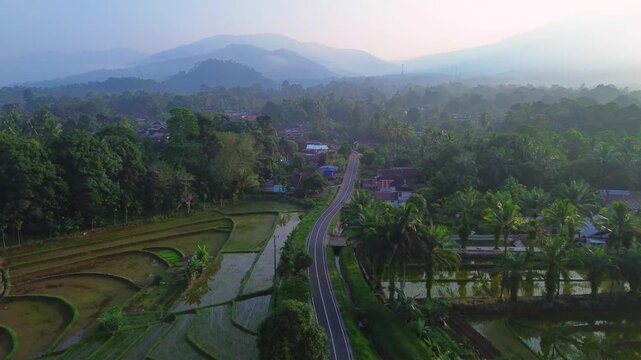 Aerial view of lush green rice terraces at sunrise with golden light reflecting in the water, surrounded by palm trees and misty mountains in Wonosobo, Central Java, Indonesia.