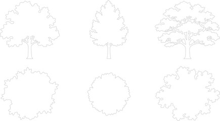 Obraz premium Vector set of tree symbols in elevation and plan view for architectural drawings isolated on white background