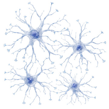 Neurons with branching dendrites isolated on white, 3D biomedical illustration