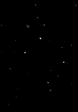 Falling snow dots on black background, isolated visual effect layer.